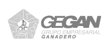 geganMesa de trabajo 15